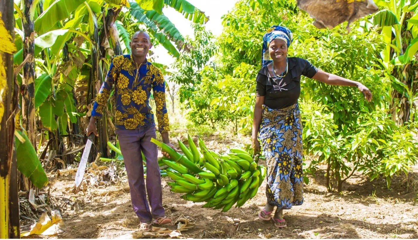 Food Security and Livelihood Resilience Project